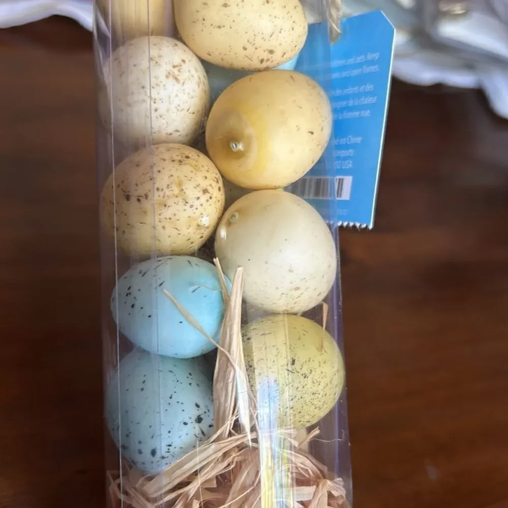 Píer 1 Easter eggs decor NWT